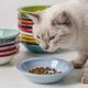 CREUSET法国酷彩宠物碗陶瓷猫狗碗高颜值猫咪食盆水盆猫形盘子