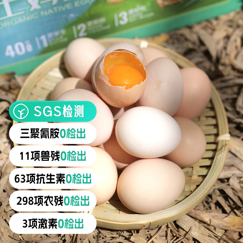 山养土鸡蛋远方的梦想图片