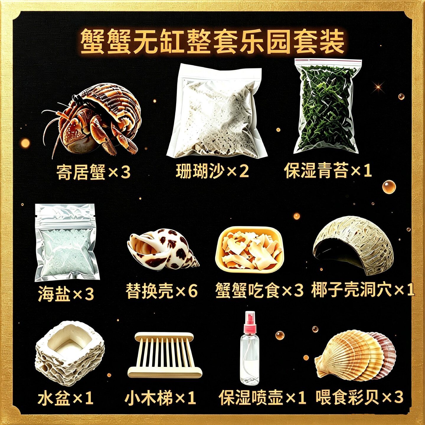 寄居蟹无饲养缸全套饲养套装
