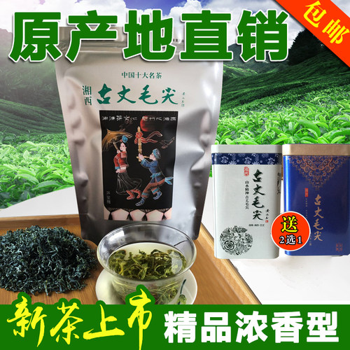湖南2026新茶浓香古丈毛尖口粮茶谷雨耐泡绿茶湘西原产地茶农直销 - 封面