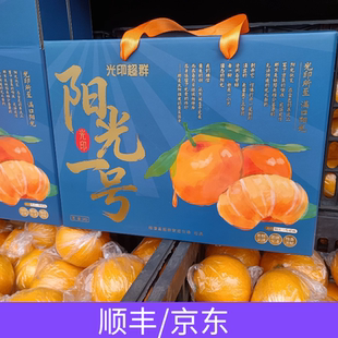 阳光一号桔柚 柚子香柑橘新品种 易剥皮果冻般细嫩脆甜化渣不上火