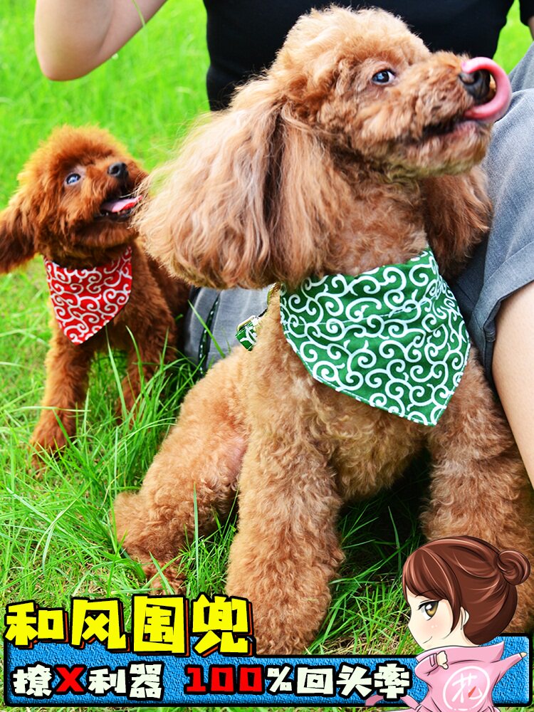 狗狗口水巾宠物猫咪项圈大型犬围巾兜围脖柴犬泰迪围嘴饰品三角巾