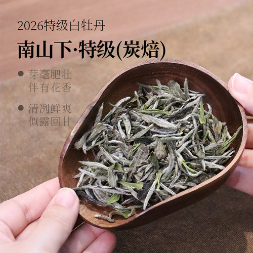 【深山行】南山下·2026年特级白牡丹 炭焙牡丹 福鼎管阳高山白茶