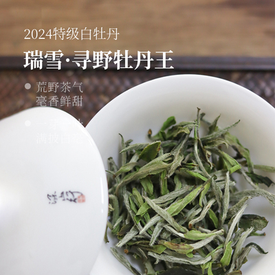 深山行福鼎白茶寻野牡丹王