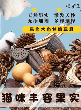 【9.9包邮】猫咪丰容果实干果玩具松果天然植物气味丰荣自嗨用品