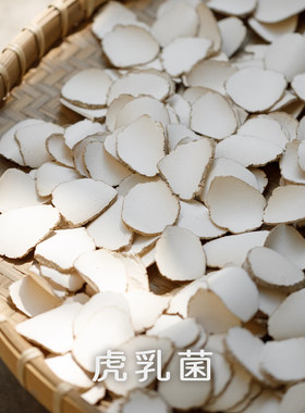喜己食养·虎乳菌丨热带原切虎乳菌片虎奶菌正宗野生虎乳菌煲汤
