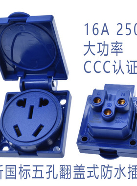 新国标五孔防水防爆插座IP54锁螺丝固定明装户外防尘全铜16A