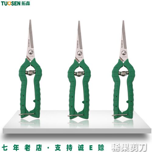 拓森果枝剪不锈钢直头希果剪摘果剪葡萄园艺剪8寸果树修枝稀果剪