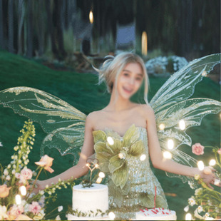 精靈蝴蝶翅膀攝影道具仙女生日派對party舞會公主表演diy baby同款