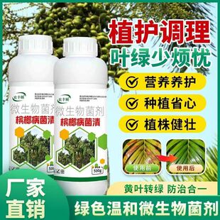 农丰颐槟榔病菌清专用生物菌剂生根壮苗营养液叶面肥500g植株健壮