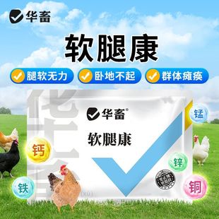 华畜软腿康100g鸡鸭鹅鸽家禽养殖通用饲料添加剂厂家直发