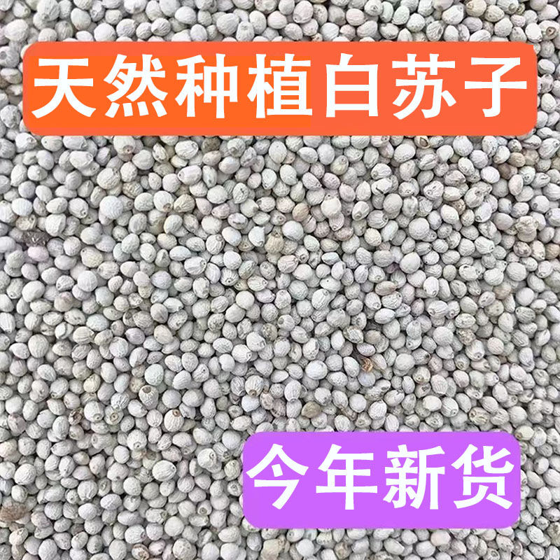 大粒白苏子鸟食 白酥麻 白苏籽大颗粒软苏子鸟粮饲料玉鸟丝雀