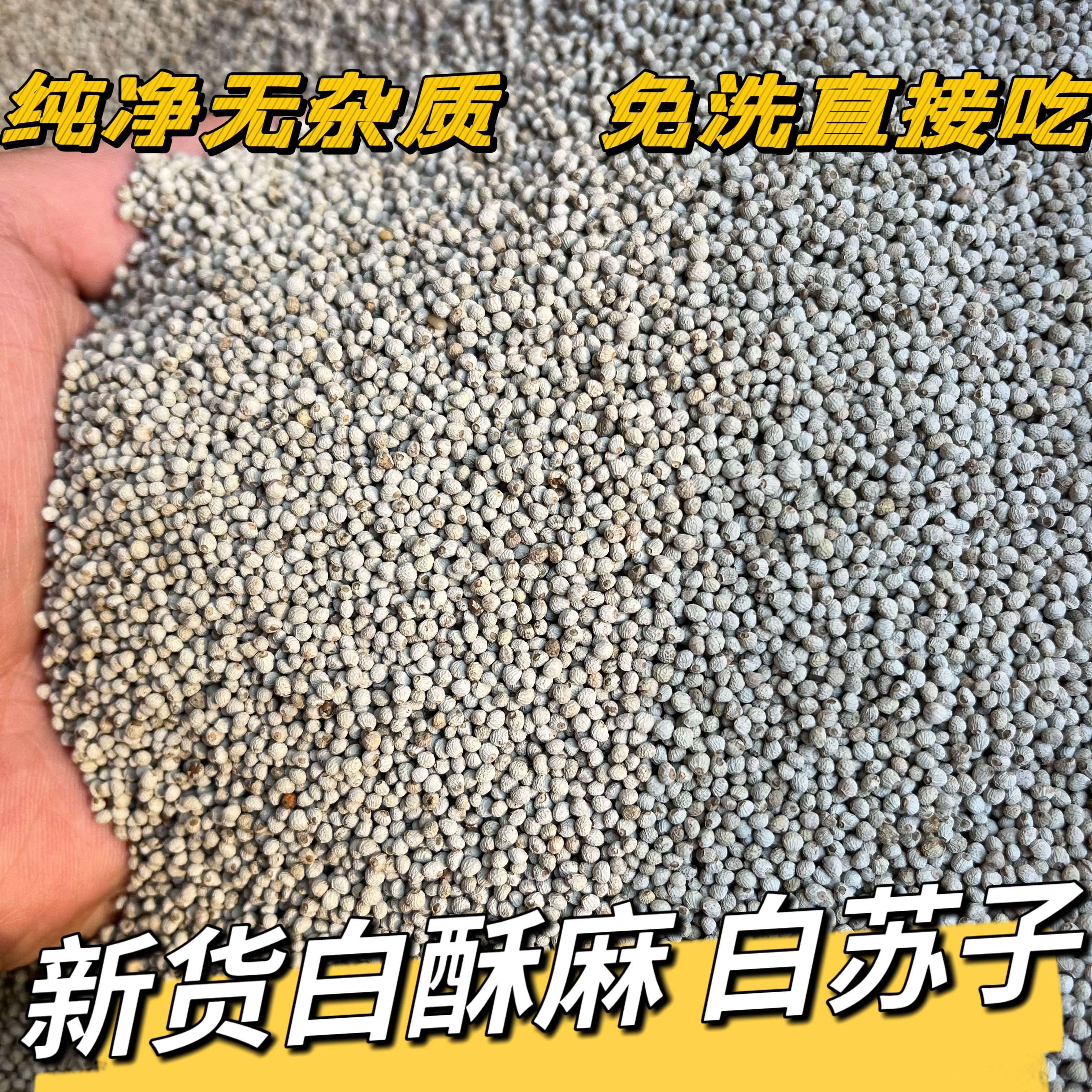 白苏子新货正品白苏麻软苏子油苏苏子粒酥麻子煲汤烧烤料包邮