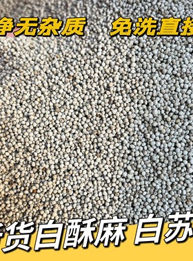 白苏子新货正品白苏麻软苏子油苏苏子粒酥麻子煲汤烧烤料包邮