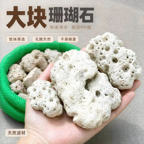 鱼缸优质珊瑚石天然海鲜鱼池滤材
