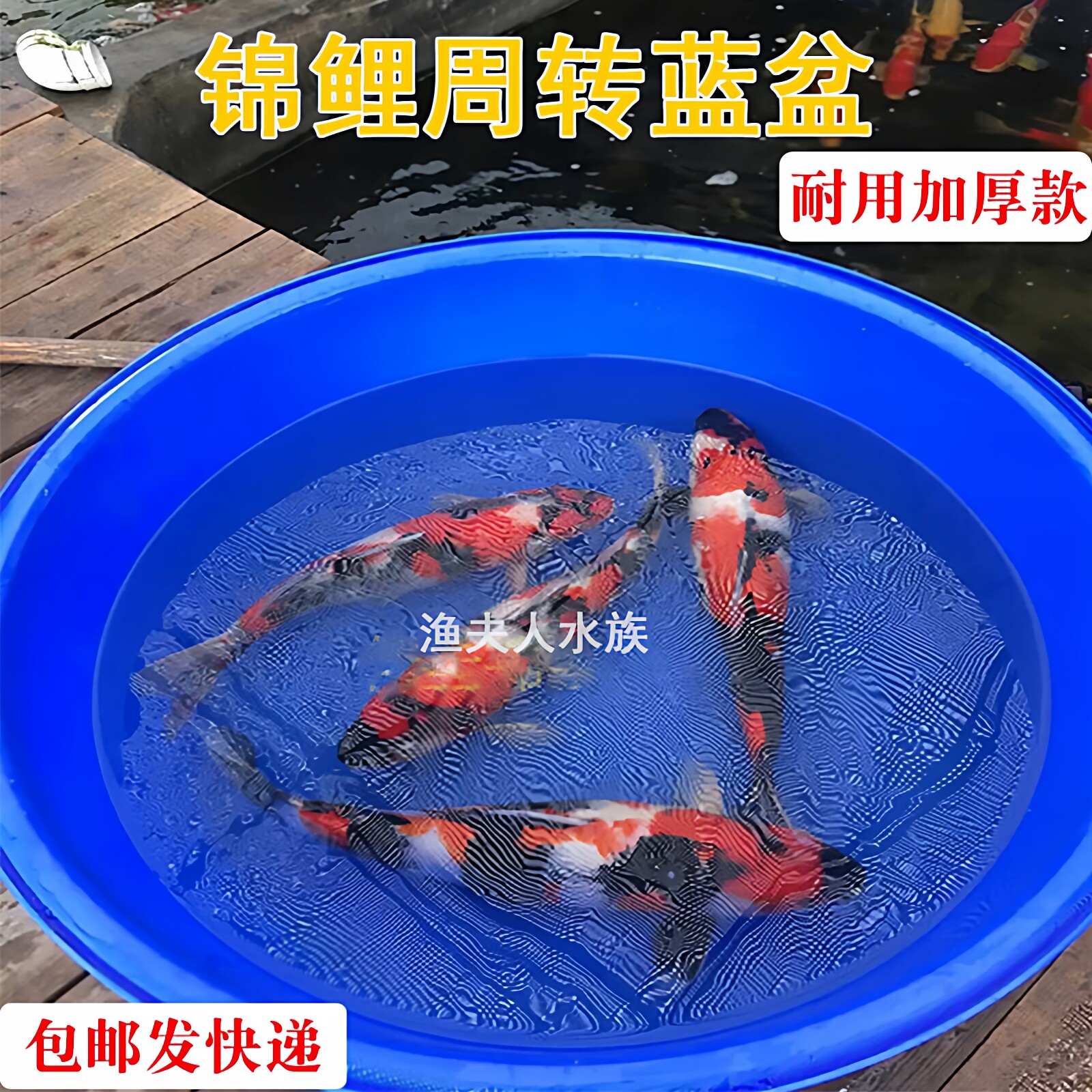 锦鲤蓝盆专用盆蓝色塑料大盆测量尺盆带网罩拍照隔离盆水族圆盆