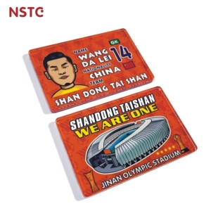 NSTC原创冰箱贴 山东泰山周边王大雷卡通文创足协杯亚冠 一套2个