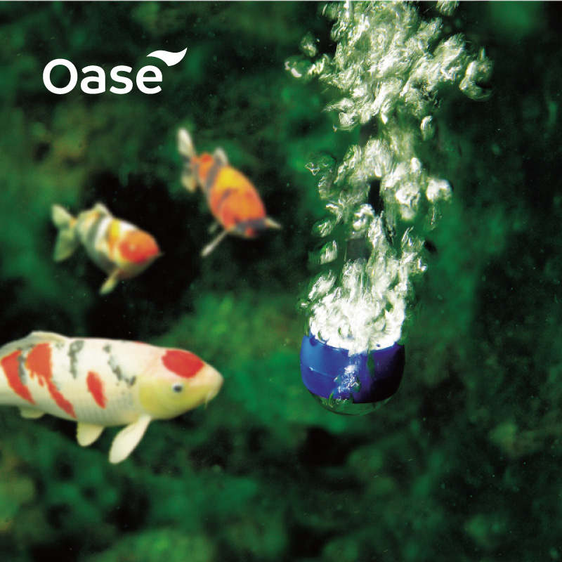 德国品质欧亚瑟鱼池充氧增氧泵