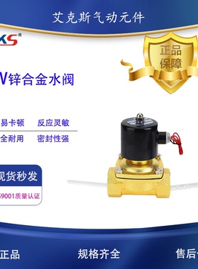 AKS艾克斯锌合金电磁阀水阀220V气阀2W025-08/160-15/250-25/4050