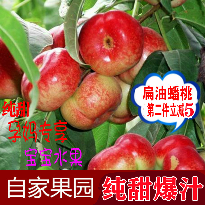 顺丰2026陕西纽扣油蟠桃新鲜5斤包邮水果孕妇扁甜脆多汁小水蜜桃