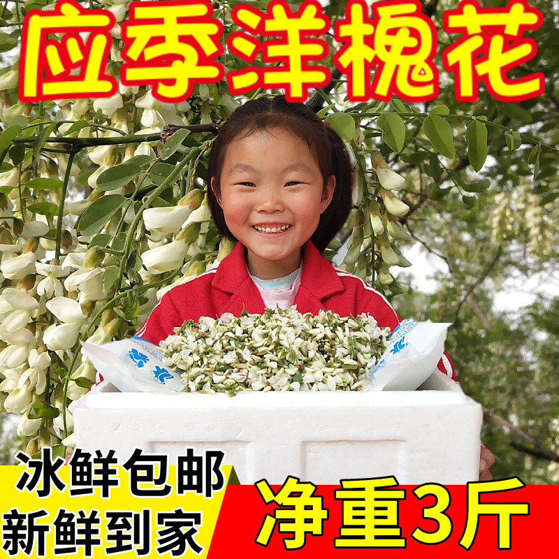 【顺丰速发】槐花新鲜3斤野生洋槐花花苞花骨朵加冰农家蔬菜包邮