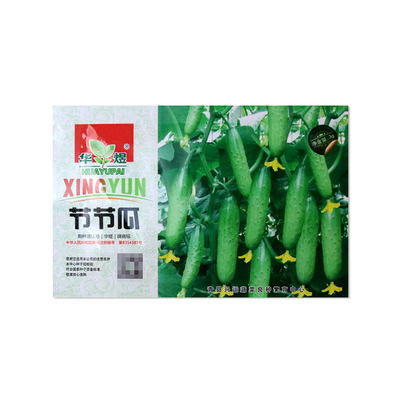 华煜节节瓜黄瓜种子春秋季种
