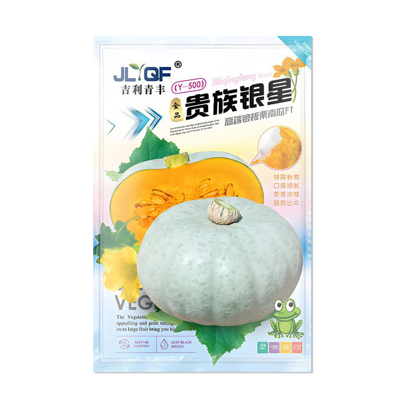 贵族银星银板栗南瓜种子
