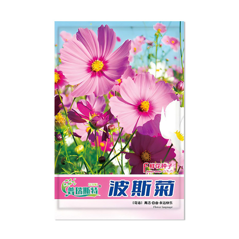 普瑞斯特波斯菊种子花卉种子