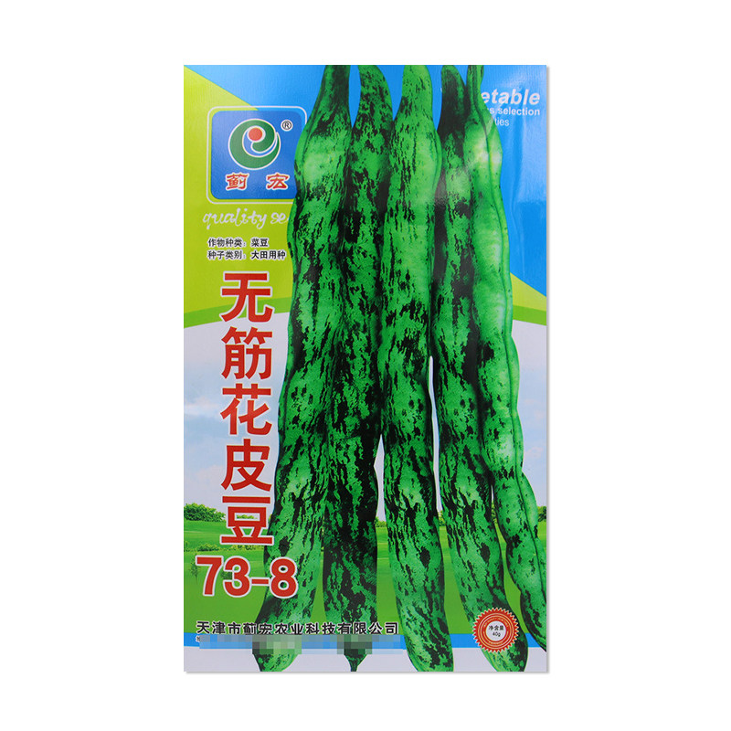 蓟宏无筋花皮豆73-8豆角种子