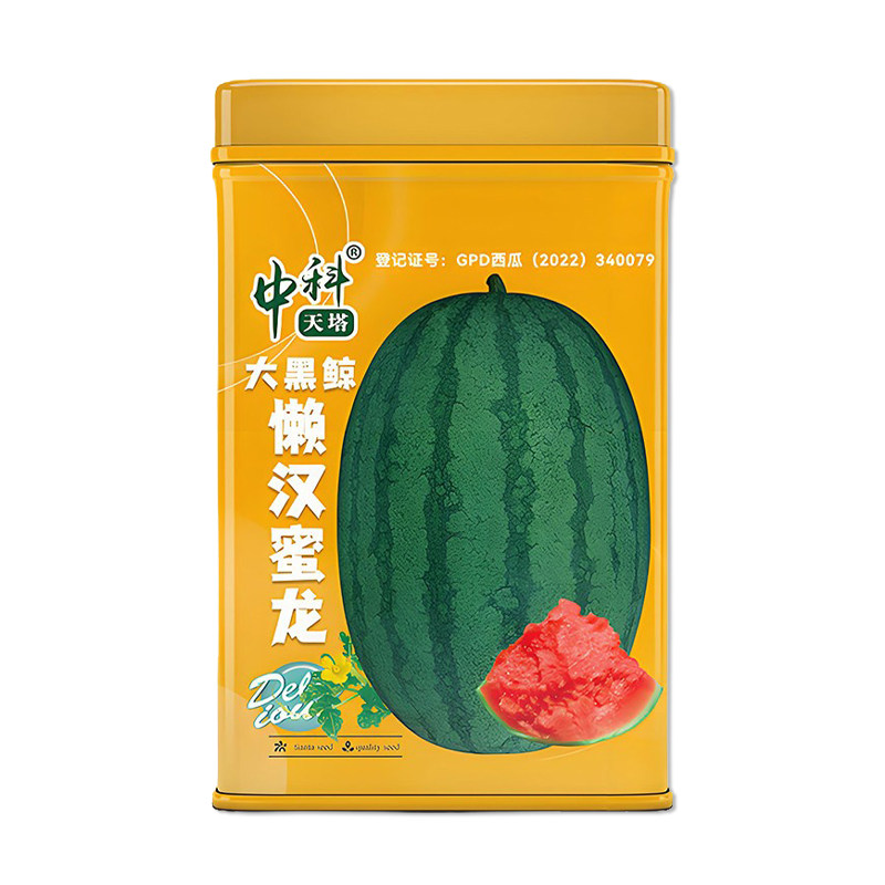 中科天塔大黑鲸懒汉蜜龙西瓜种子