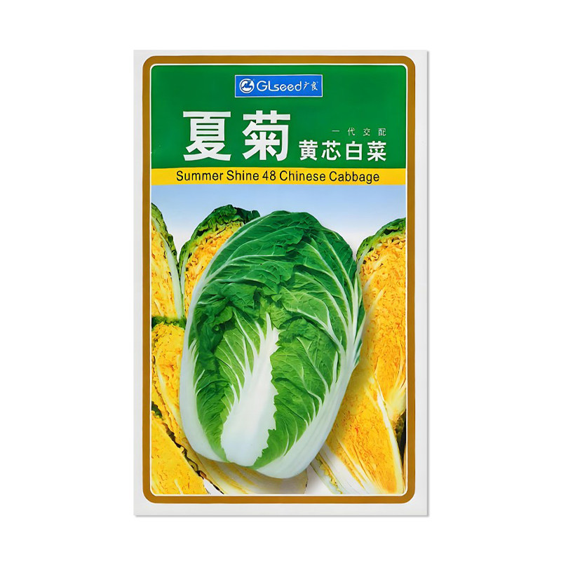 广良夏菊黄芯大白菜种子