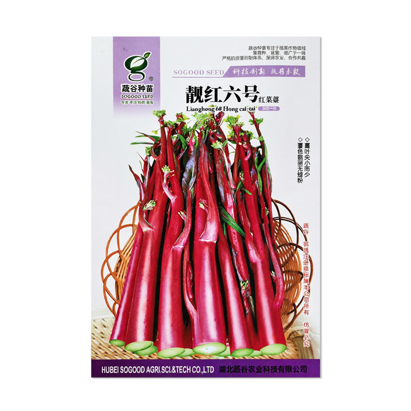 蔬谷种苗靓红六号红菜苔种子