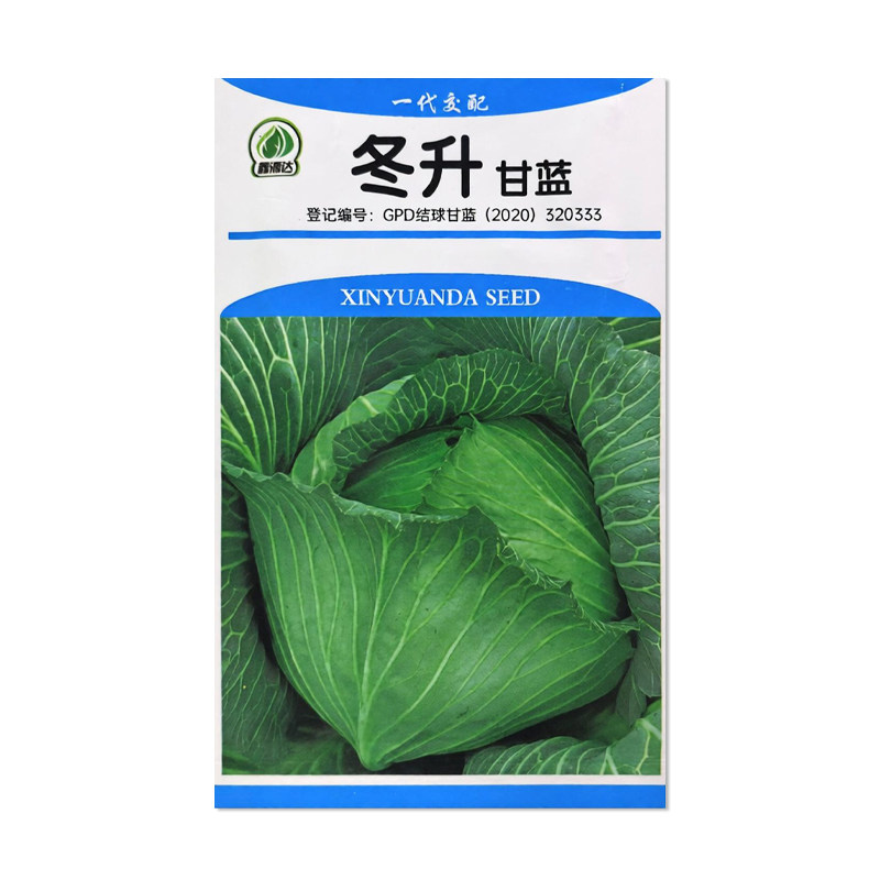 鑫源达冬升甘蓝种子蔬菜种子