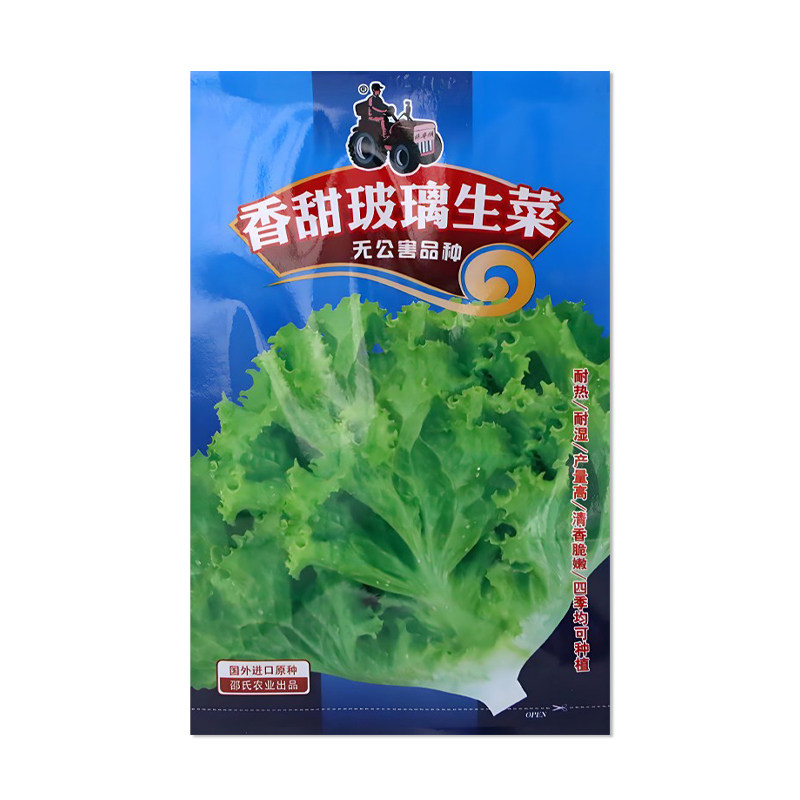 邵氏瑞姆斯特香甜玻璃生菜种子