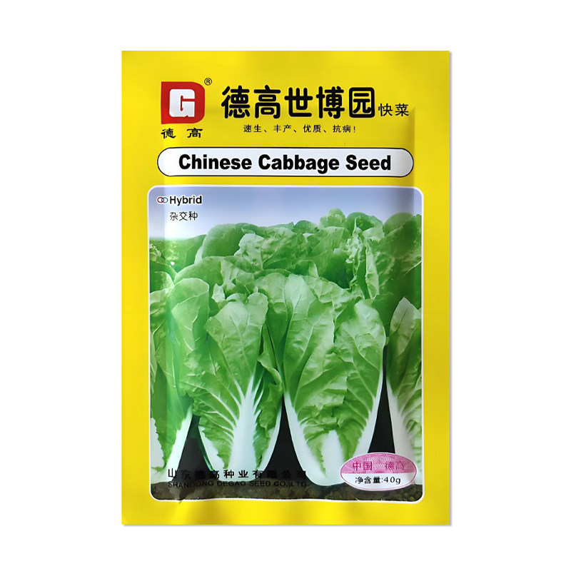 德高世博园快菜种子白菜种子