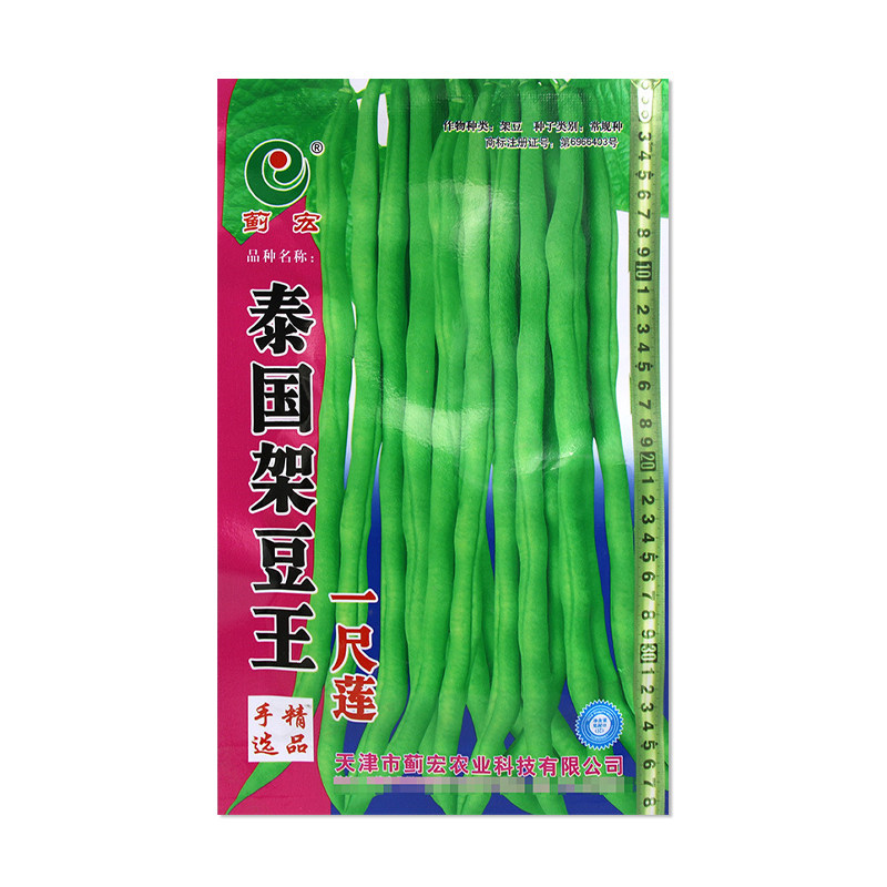 蓟宏泰国架豆王种子豆角籽