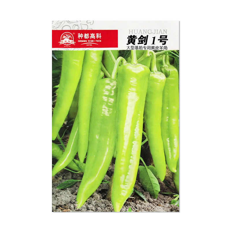 种都高科黄剑1号辣椒种子
