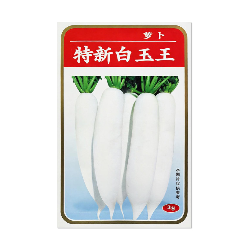 特新白玉王萝卜种子蔬菜种子