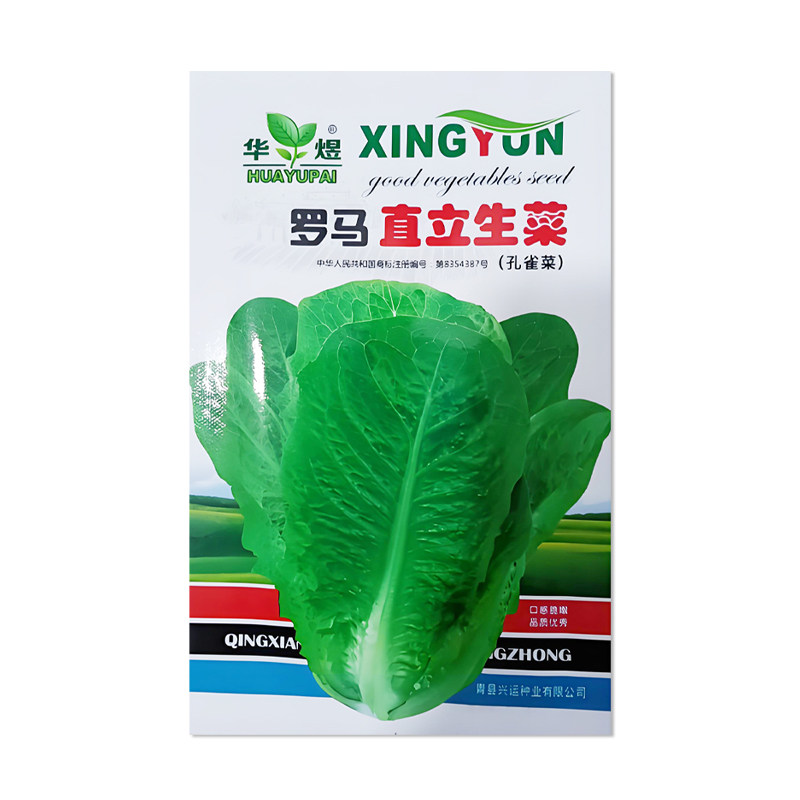 华煜罗马直立生菜种子