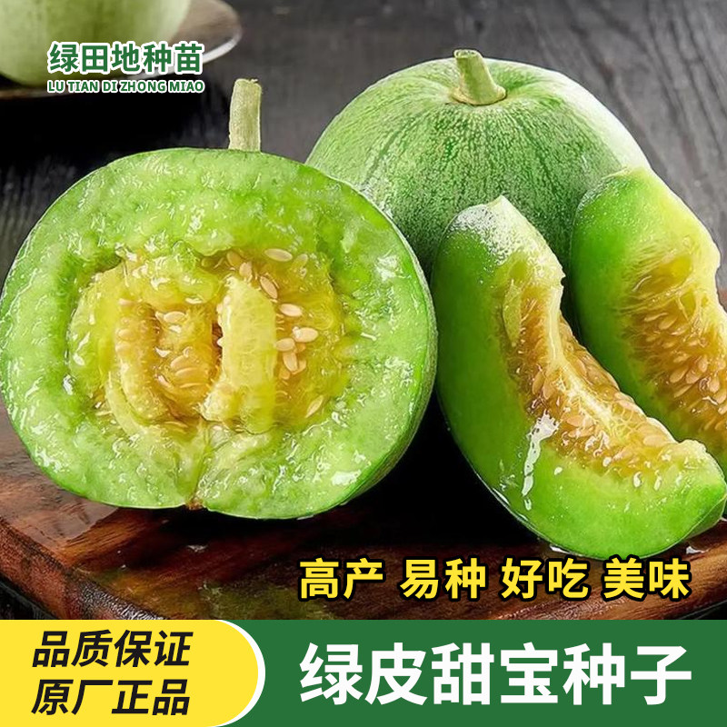 绿宝石甜瓜种子水果种子