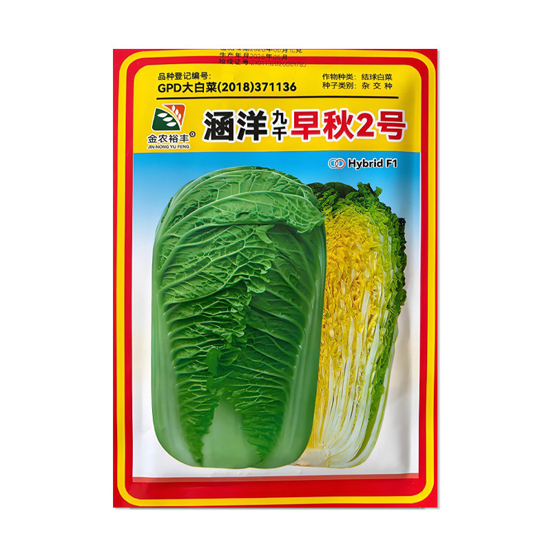 涵洋九千早秋2号大白菜种子
