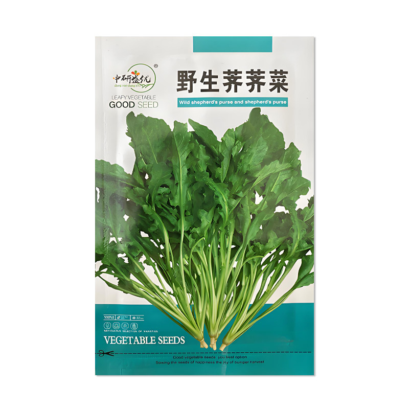 中研盛优野生荠荠菜种子