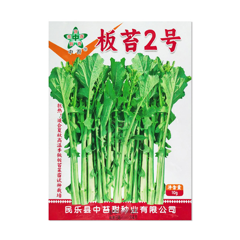 中苔板苔2号菜苔种子蔬菜种子