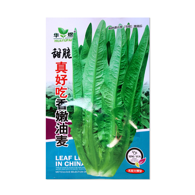华煜甜脆真好吃香嫩油麦菜种子