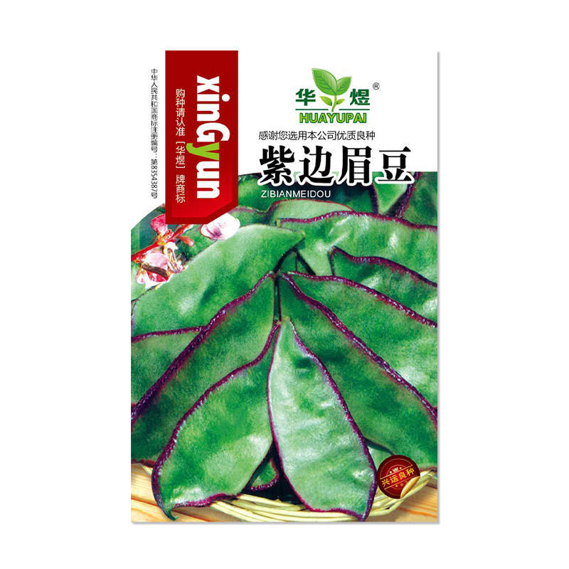 华煜紫边眉豆种子紫扁豆角