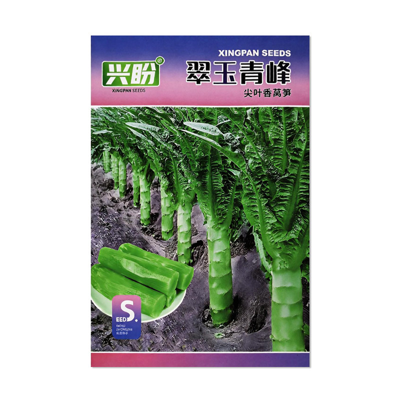 兴盼翠玉青峰尖叶香莴笋种子