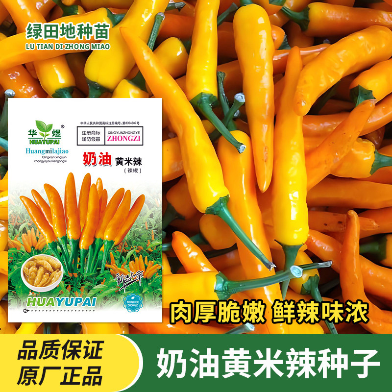 奶油黄米椒种子辣椒种子