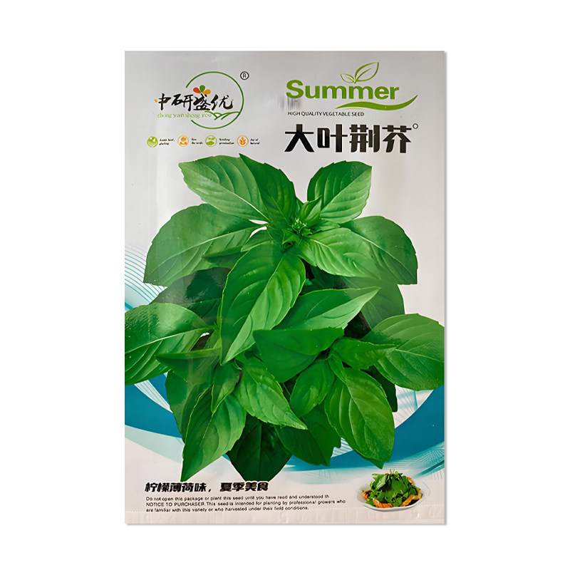 中研盛优大叶荆芥种子