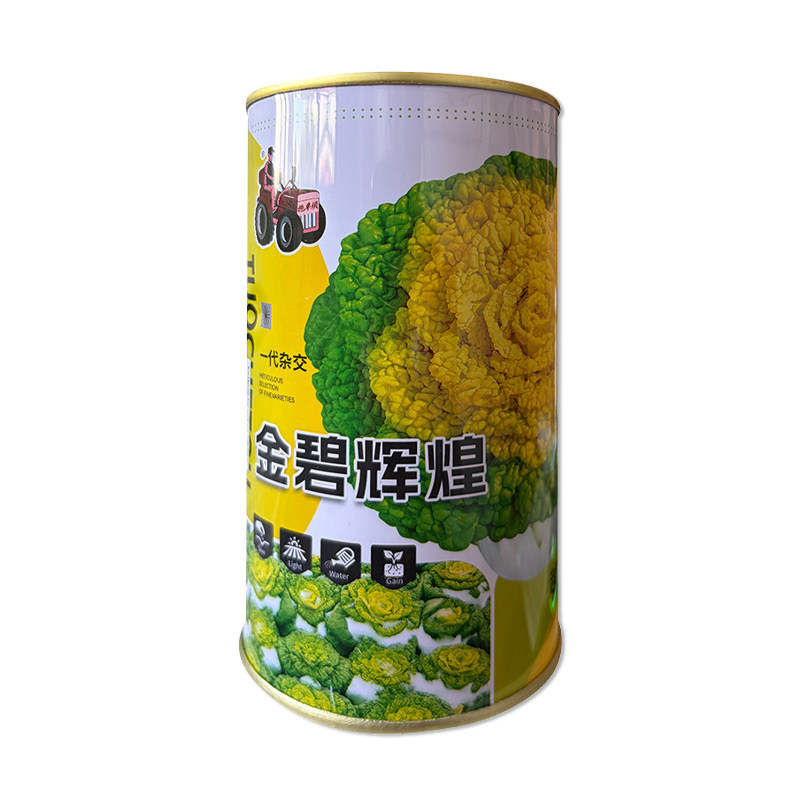 拖车头金碧辉煌乌塌菜种子