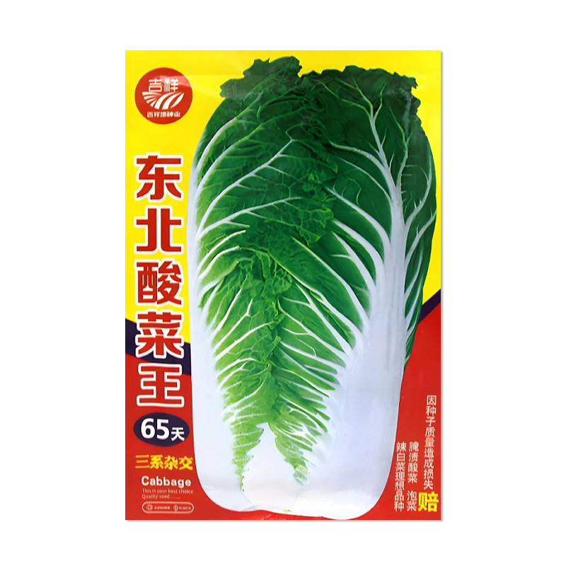 吉祥东北酸菜王白菜种子